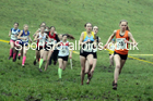 Girls under-15s, NECAA Junior Cross Country Relays, Thornley Farm, Peterlee, Saturday, December 12th. Photo: David T. Hewitson/Sports for All Pics